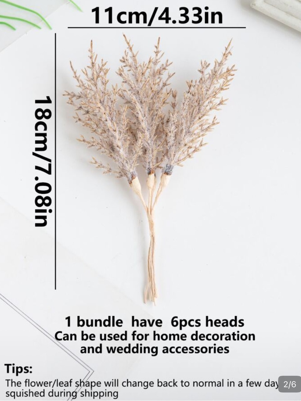 Brand New One Bundle Decorative Dried Grass Bundle - Beige Accent for Home
